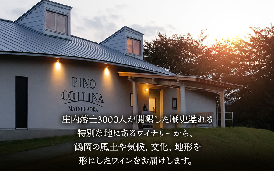 鶴岡産白ワイン　Sence of Place 2025（白） 750ml×1本　株式会社エルサン 国産 日本 ワイン