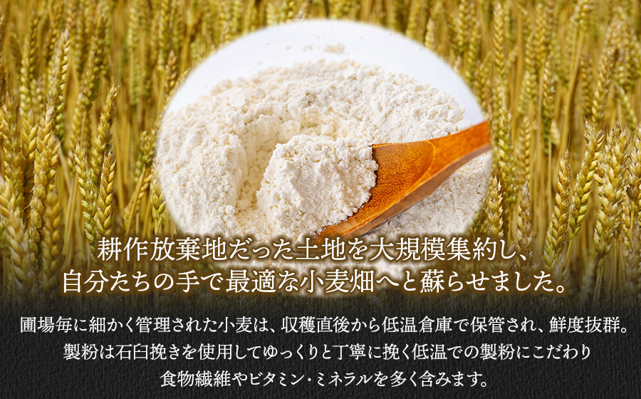 月山の粉雪そうめん　90g×2束×2袋　アインテック株式会社 2袋