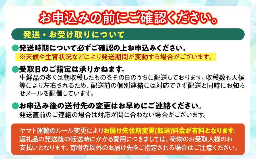 【令和8年産先行予約】山形県鶴岡産 さくらんぼ「佐藤錦」バラ詰め1kg　K-867　JA庄内たがわ