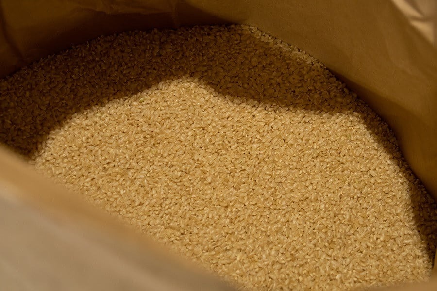 【令和7年産先行予約】 馬町さくらファームのつや姫 玄米 10kg（5kg×2袋）　K-777