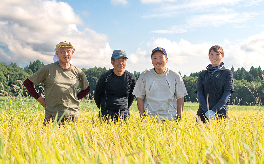【令和7年産】庄内おばこ農場の特別栽培米 つや姫 精米 10kg (10kg×1袋)　K-7105