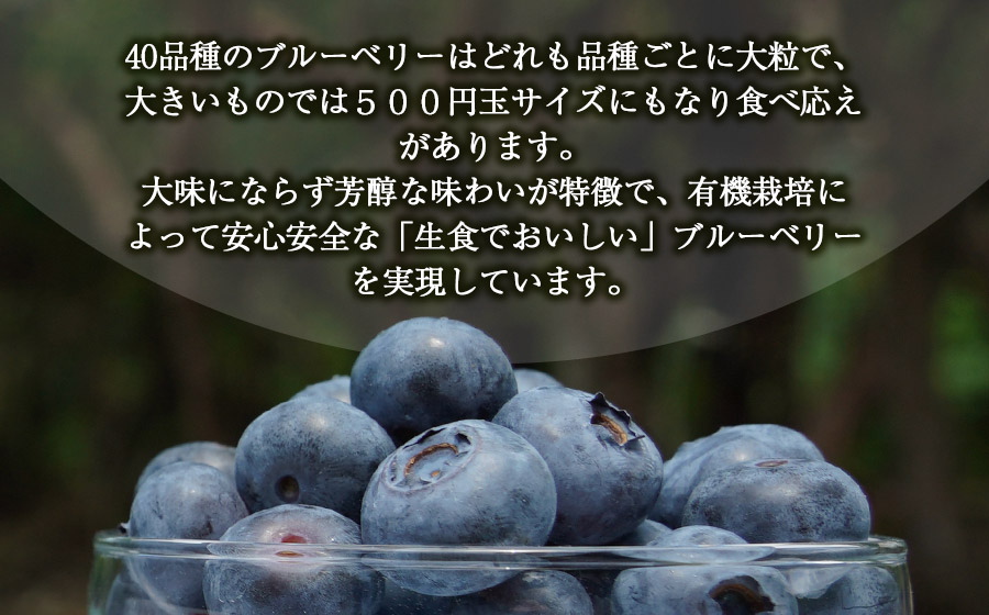 月山高原鈴木農園のブルーベリージュース【加糖】３本セット　K-669