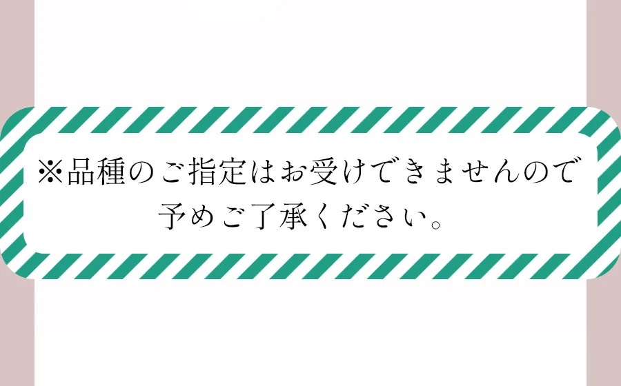 【令和8年産先行予約】JA庄内たがわの桃（品種おまかせ） 約2kg（5～9玉入） 鶴岡市羽黒地域産　K-830