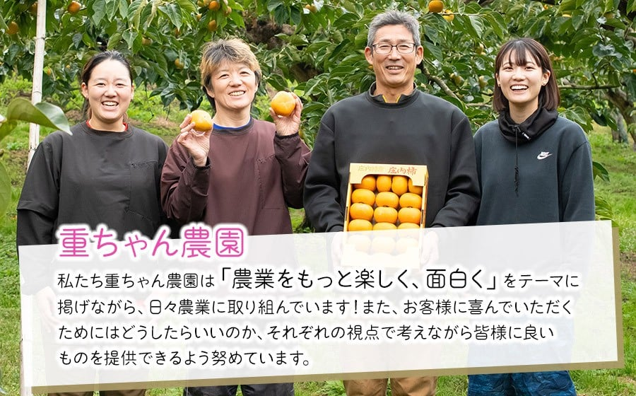 【令和8年産先行予約】家庭用庄内柿 たねなし柿 平核無柿 脱渋済み 約2kg（12～18玉）　山形県鶴岡市　重ちゃん農園