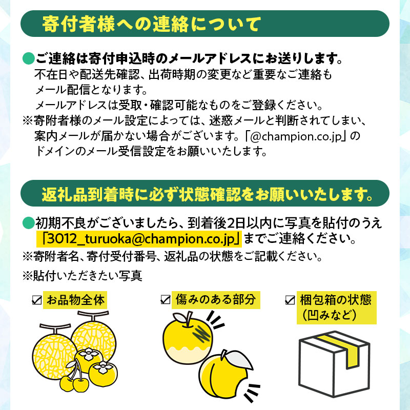 【令和8年産先行予約】鶴岡市産 シルバーベル（洋梨） 約3kg 泉屋商店　K-819