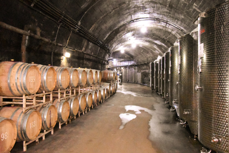 親子で楽しむ！！山ぶどう酒＆ぶどうジュースセット　720ml×2本　K-746