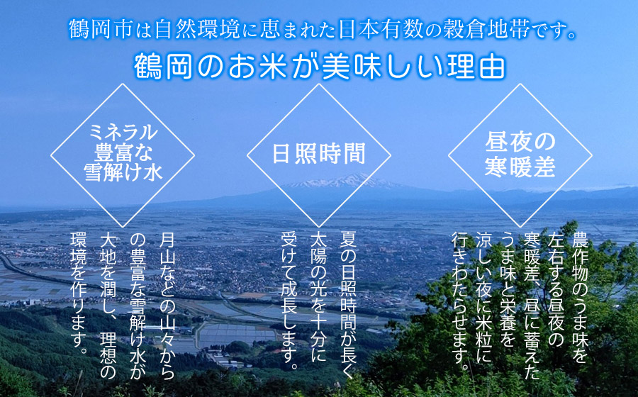 【令和7年産先行予約】【定期便】 特別栽培米 山形つや姫 精米 10kg(5kg×2袋)×3ヶ月　山形県鶴岡市産　鶴岡ファーマーズ