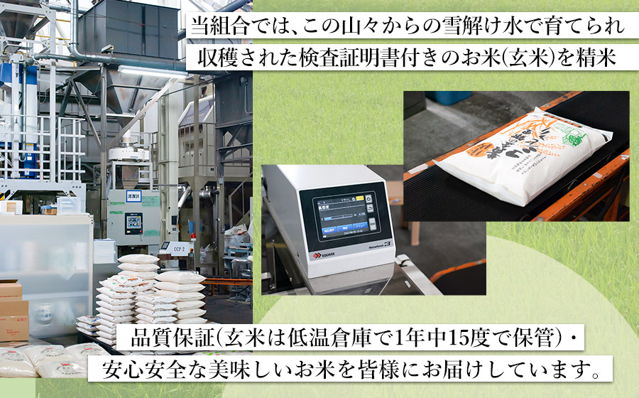 山形県庄内つや姫 10kg（5kg✕2個） 令和6年度 山形県産 つや姫 10kg（5kg×2） の通販