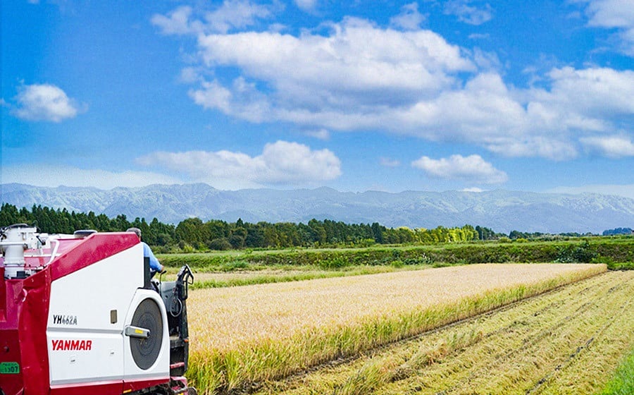 【定期便】令和7年産 特別栽培米 つや姫 精米 5kg×3ヶ月 山形県鶴岡市産 株式会社嘉左エ門