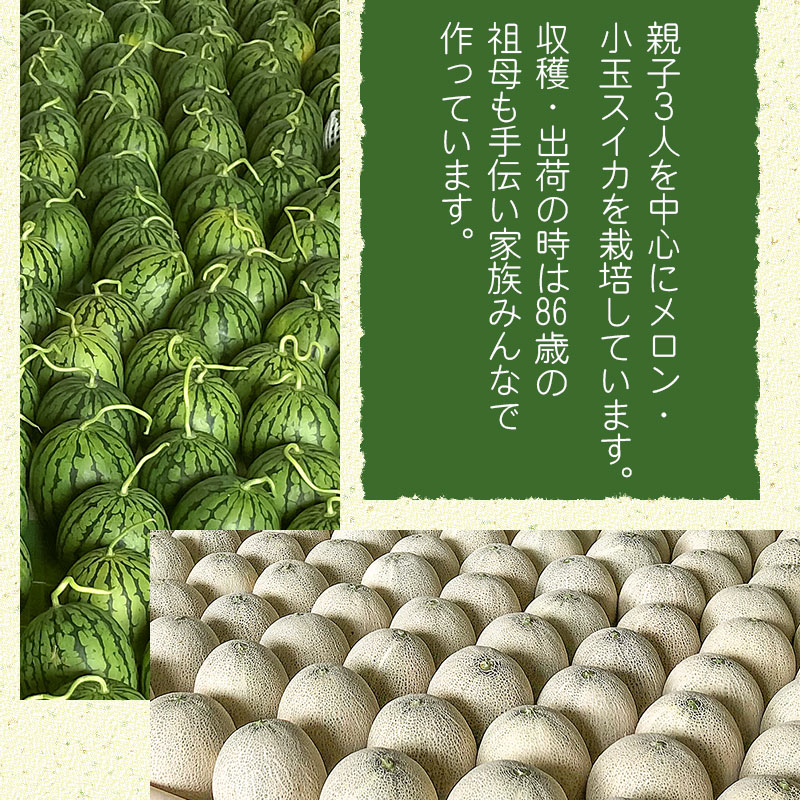 【令和6年産先行予約】 秋どりアンデスメロン 2玉（3L） 山形県鶴岡市産 庄内砂丘メロン　小林ファーム