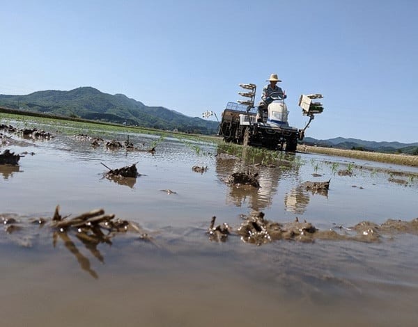 【令和7年産】【新米】「神農家」が作った特別栽培米 つや姫 無洗米 2kg 　[K-722]