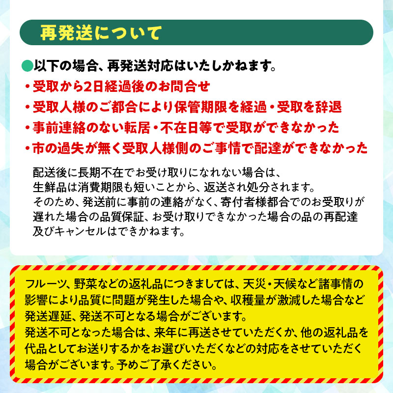 【令和8年産先行予約】鶴岡市産 シルバーベル（洋梨） 約3kg 泉屋商店　K-819