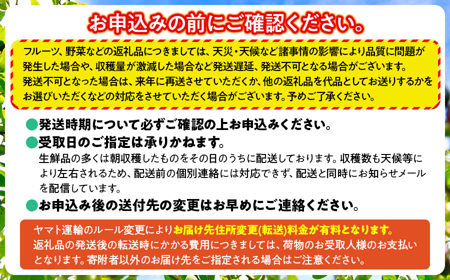 【令和8年産先行予約】干柿 1パック6個入り×4ケース 鶴岡市産　佐藤農園