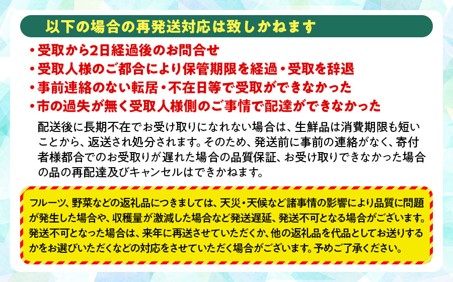 【令和8年産先行予約】山形県鶴岡産 さくらんぼ「佐藤錦」バラ詰め1kg　K-867　JA庄内たがわ