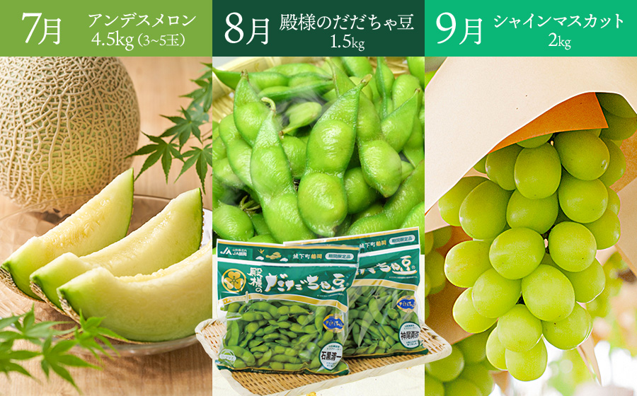 ユネスコ食文化創造都市認定10周年【鶴岡まるごと定期便】　全12回発送　4月スタート