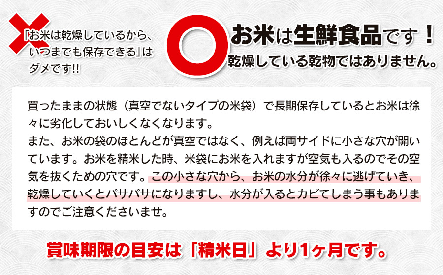【3回定期便】【新米】 令和7年産 雪若丸10kg (5kg×2)×3回 山形県庄内産　鶴岡米穀商業協同組合