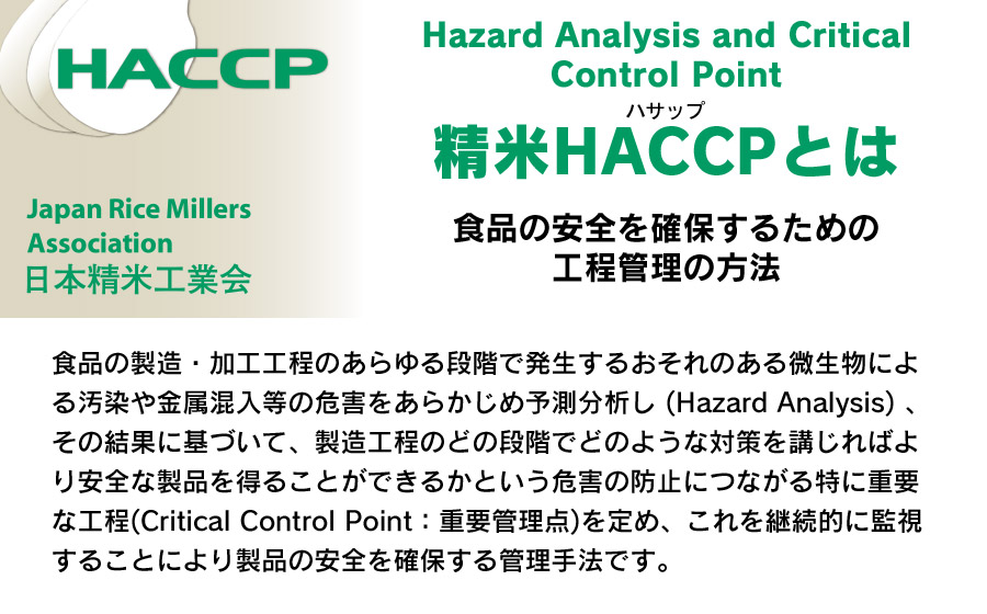 【3回定期便】【新米】 令和7年産 雪若丸10kg (5kg×2)×3回 山形県庄内産　鶴岡米穀商業協同組合