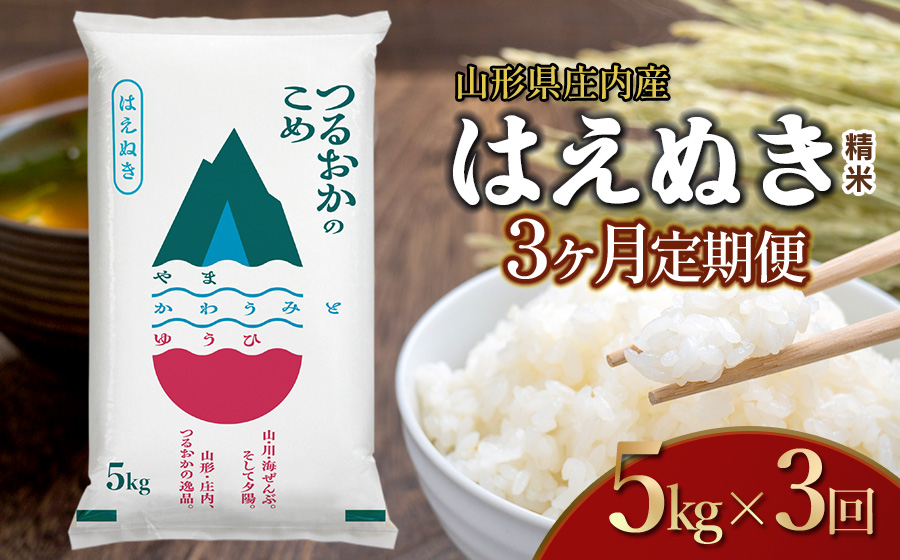 【令和7年産】【3ヶ月定期便】はえぬき 精米 5kg×3回 計15kg 山形県 庄内産　米食味鑑定士お薦め | 5kg 定期便 白米 精米 美味しい お米 おいしい おこめ コメ ブランド米 鶴岡市 納税 返礼品 名産品 特産品