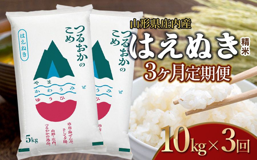 【令和7年産】【3ヶ月定期便】はえぬき 精米 10kg×3回 計30kg 山形県 庄内産　米食味鑑定士お薦め