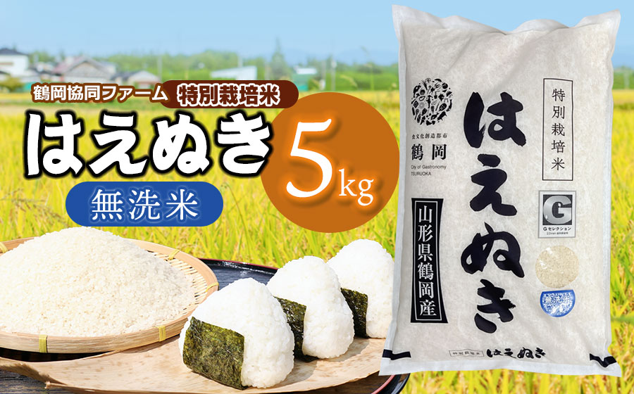 【令和7年産】【新米】 特別栽培米はえぬき　無洗米 5kg　(5kg×1袋)　山形県鶴岡産　鶴岡協同ファーム