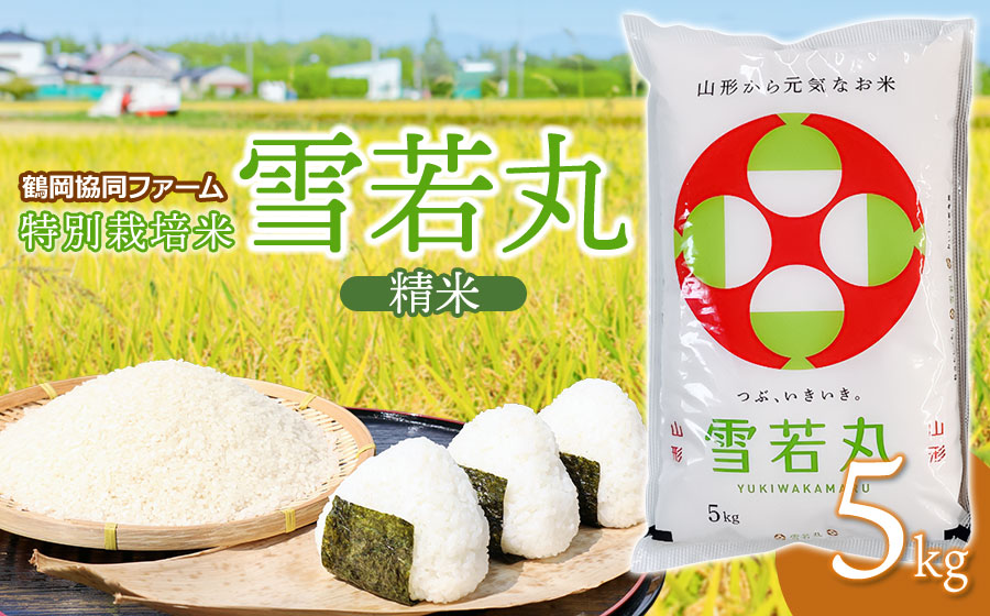 【令和7年産】【新米】 特別栽培米雪若丸 5kg (5kg×1袋) 山形県鶴岡産　鶴岡協同ファーム
