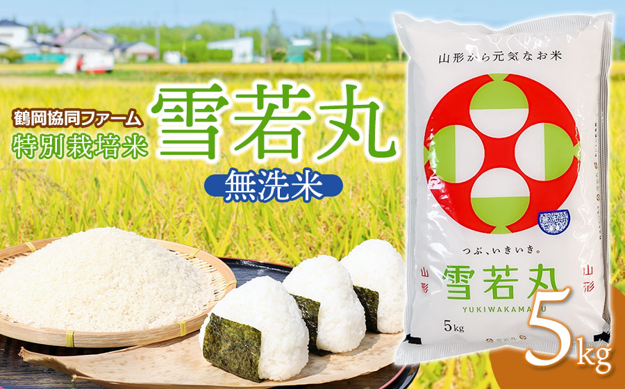 【令和7年産】【新米】 特別栽培米雪若丸　無洗米 5kg　(5kg×1袋)　山形県鶴岡産　鶴岡協同ファーム