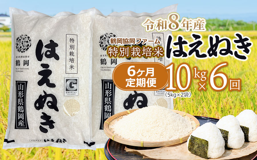 【令和8年産先行予約】 特別栽培米はえぬき　精米10kg (5kg×2袋)×6ヶ月【定期便】　鶴岡協同ファーム
