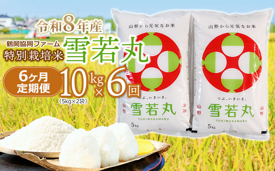 【令和8年産先行予約】 特別栽培米雪若丸精米 10kg (5kg×2袋) ×6ヶ月【定期便】 山形県鶴岡産　鶴岡協同ファーム