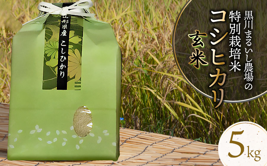 【令和7年産】【新米】 黒川まるいし農場の特別栽培米コシヒカリ玄米　5kg 　山形県鶴岡市産　K-740