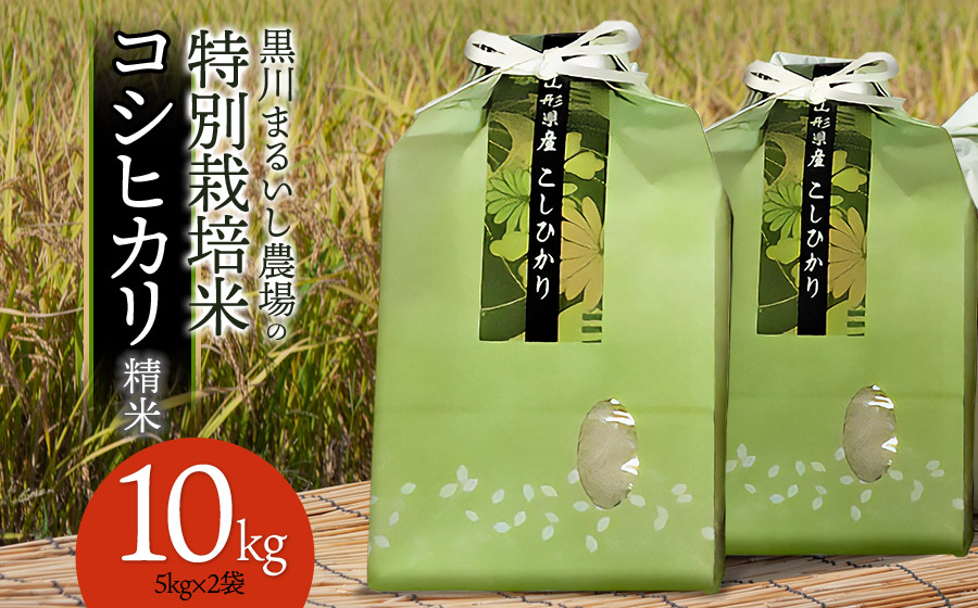 【令和7年産】 黒川まるいし農場の特別栽培米 コシヒカリ 10kg (5kg×2)　山形県鶴岡市産　K-784