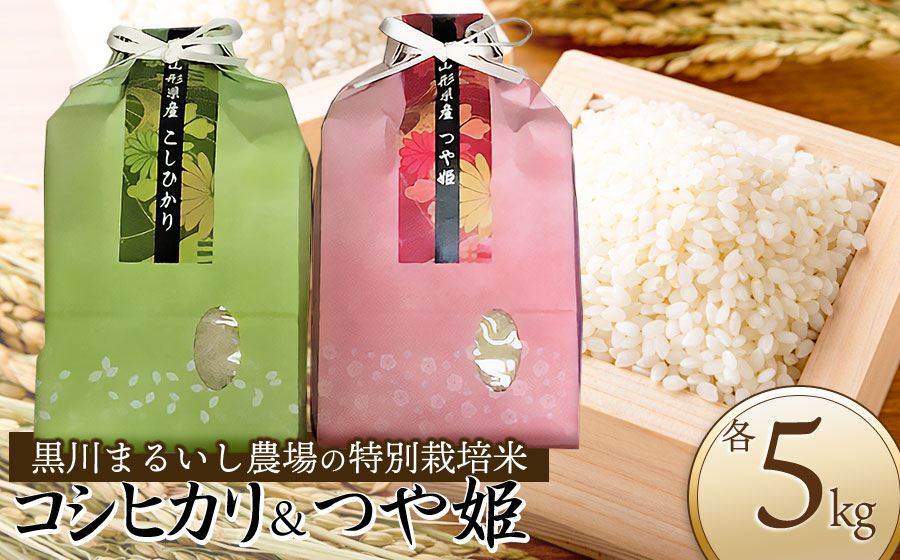 【令和7年産】【新米】 黒川まるいし農場の特別栽培米つや姫 5kg・コシヒカリ 5kg (計10kg) 山形県鶴岡市産　K-787