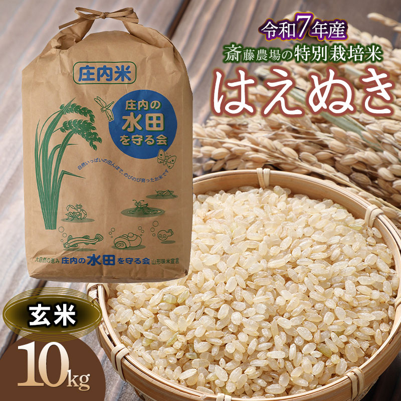 [令和7年産先行予約] 斎藤農場の特別栽培米 はえぬき 玄米 10kg(10kg×1袋) 山形県鶴岡市 K-7114
