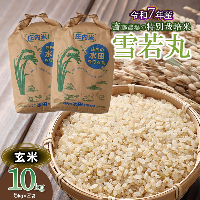 【令和7年産】 斎藤農場の特別栽培米 雪若丸 玄米 10kg 山形県鶴岡市 K-7117