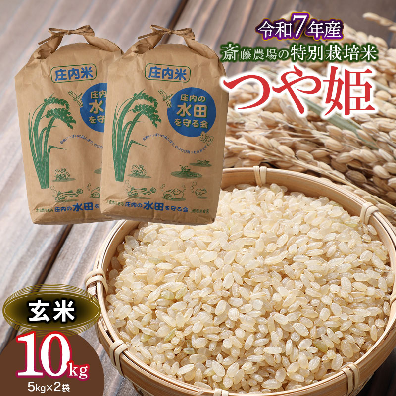 【令和7年産】 斎藤農場の特別栽培米 つや姫 玄米 10kg 山形県鶴岡市 K-7117