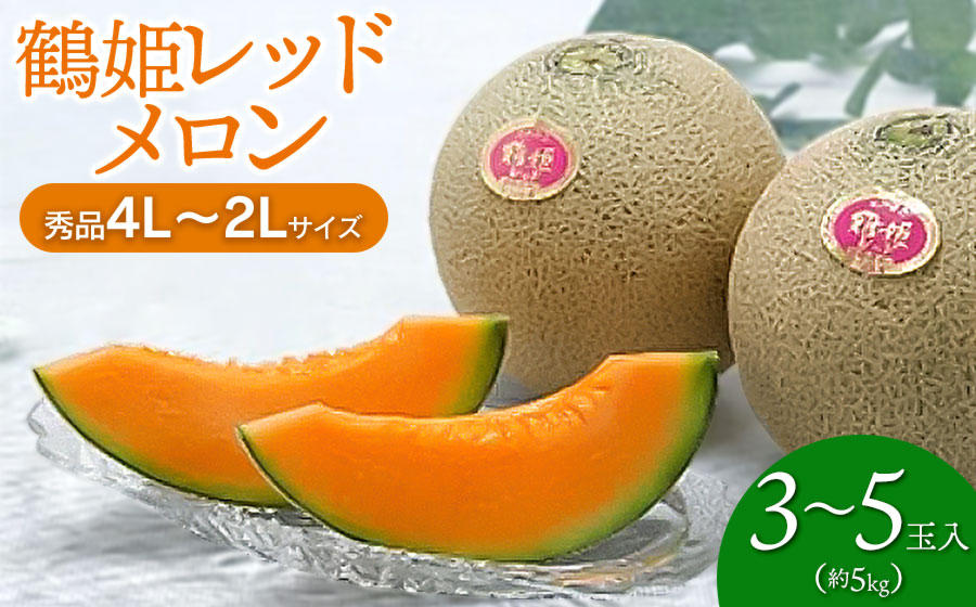 【令和8年産先行予約】 鶴姫レッドメロン（3～5玉） 秀品 4L～2L　K-843　JA鶴岡　赤肉メロン