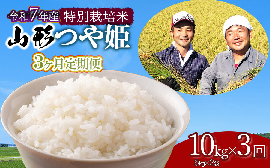【令和7年産先行予約】【定期便】 特別栽培米 山形つや姫 精米 10kg(5kg×2袋)×3ヶ月　山形県鶴岡市産　鶴岡ファーマーズ