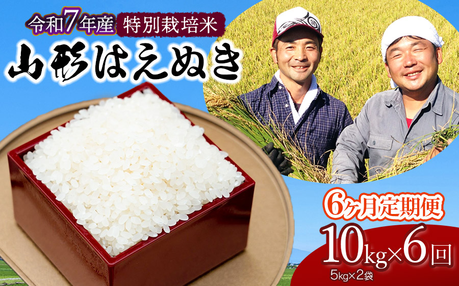 【令和7年産先行予約】【定期便】特別栽培米 山形はえぬき精米10kg(5kg×2袋)×6ヶ月　山形県鶴岡市産　鶴岡ファーマーズ