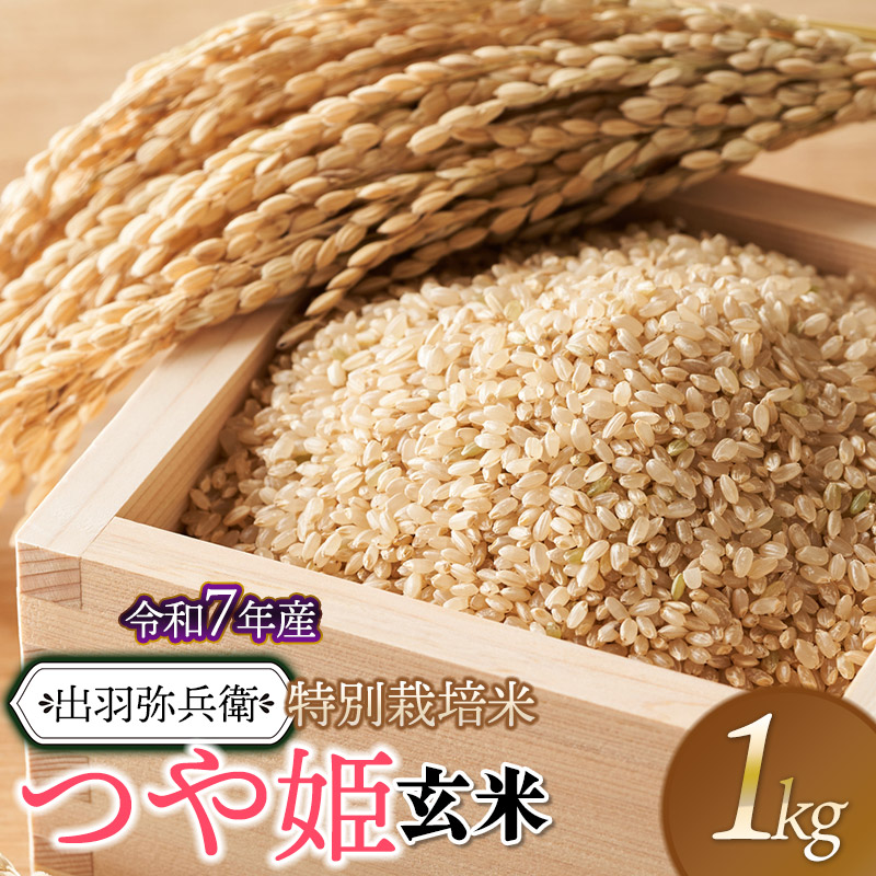 【令和7年産】【新米】特別栽培米 つや姫 【玄米】 1kg　山形県鶴岡市産　出羽弥兵衛