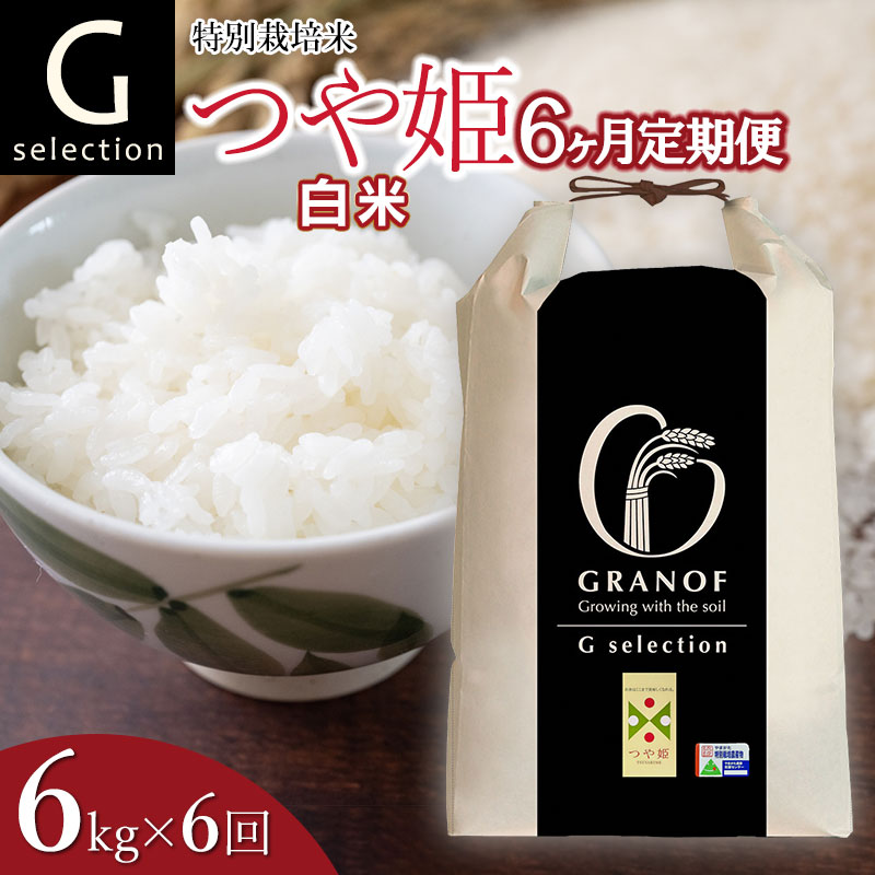 【令和7年産先行予約】【定期便6ヶ月】 特別栽培米 Gセレクション つや姫 白米 6kg (6kg×1袋)×6ヶ月 山形県鶴岡市産　株式会社グラノフ