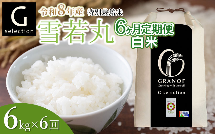 【令和8年産先行予約】【定期便6ヶ月】 特別栽培米 Gセレクション 雪若丸 【白米】6kg (6kg×1袋)×6ヶ月 山形県鶴岡市産　株式会社グラノフ