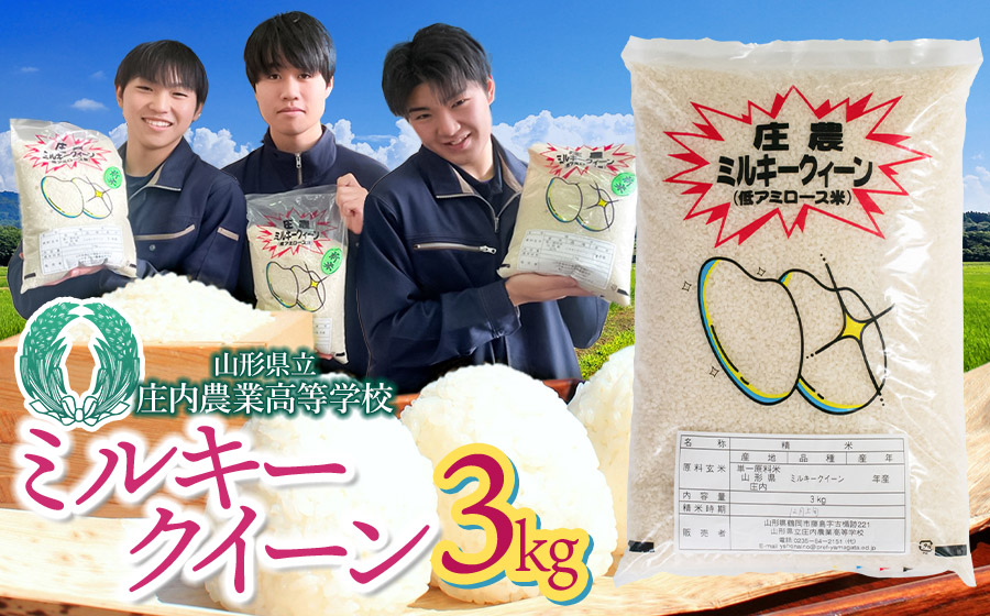 【令和7年産】 山形県立庄内農業高等学校の生徒が栽培したミルキークイーン 精米3kg　山形県鶴岡市