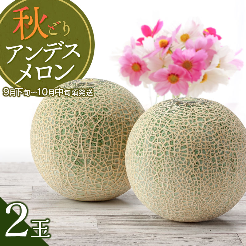 【令和6年産先行予約】 秋どりアンデスメロン 2玉（3L） 山形県鶴岡市産 庄内砂丘メロン　小林ファーム