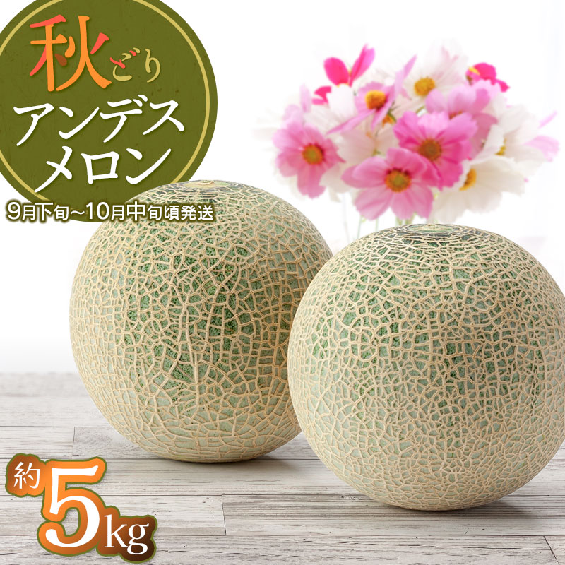 【令和6年産先行予約】 秋どりアンデスメロン 約5kg（3～4玉入） 山形県鶴岡市産 庄内砂丘メロン　小林ファーム