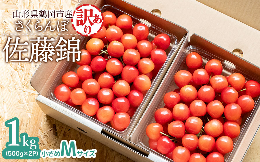 【令和8年産先行予約】【訳あり】さくらんぼ 佐藤錦 Mサイズ バラ詰め 1kg(500g×2P)  鶴岡市産　大膳農園 【訳あり】1kg