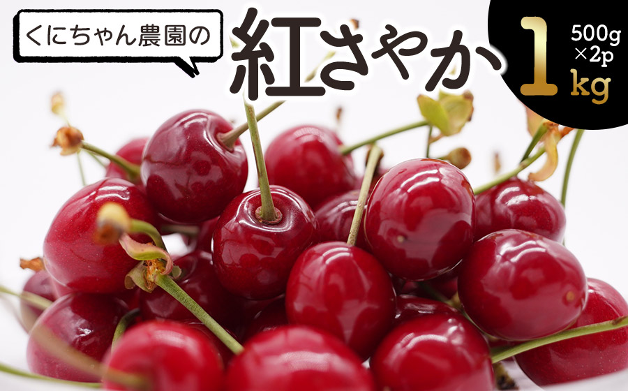 [令和8年産先行予約]くにちゃん農園のさくらんぼ「紅さやか」 バラ詰め1kg(500g×2パック) K-856