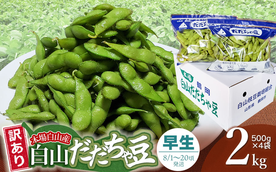 【令和8年産先行予約】【訳あり】本場白山産 白山だだちゃ豆【早生(わせ)】 2kg（500g×4袋）　農家 長四郎