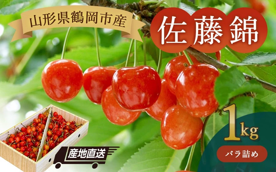 [令和8年産先行予約]山形県鶴岡産 さくらんぼ「佐藤錦」バラ詰め1kg K-867 JA庄内たがわ