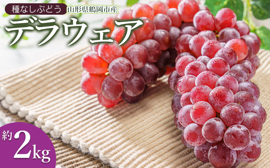 [令和8年産先行予約]鶴岡市産ぶどう デラウェア 約2kg(10〜16房) K-834 JA庄内たがわ
