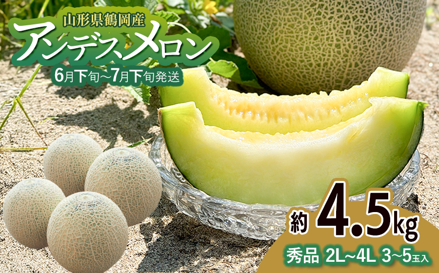 【令和8年産先行予約】アンデスメロン（青肉） 約4.5kg 2L～4L 【秀品】 3玉～５玉入 【令和8年6月下旬～7月下旬頃発送予定】 山形県鶴岡産 庄内砂丘メロン 御殿まりメロン 丸果庄内青果
