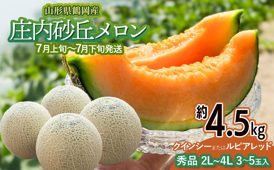 【令和8年産先行予約】 庄内砂丘メロン（赤肉）約4.5kg 2L～4L 【秀品】 3～5玉入 【令和8年7月上旬～下旬頃発送予定】山形県鶴岡産 紅花メロン　丸果庄内青果